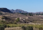Nau industrial en venda a Sant Miquel de les Salines ref.: TR419631 foto