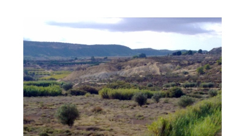 Alicante - San Miguel de Salinas - 50m2