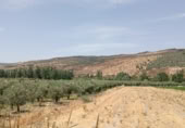 Non-developable land for sale on Calle Barranco, Cacín, ref: TR419636 photo
