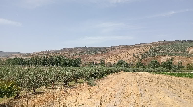 Гранада - Cacín - 10212m2