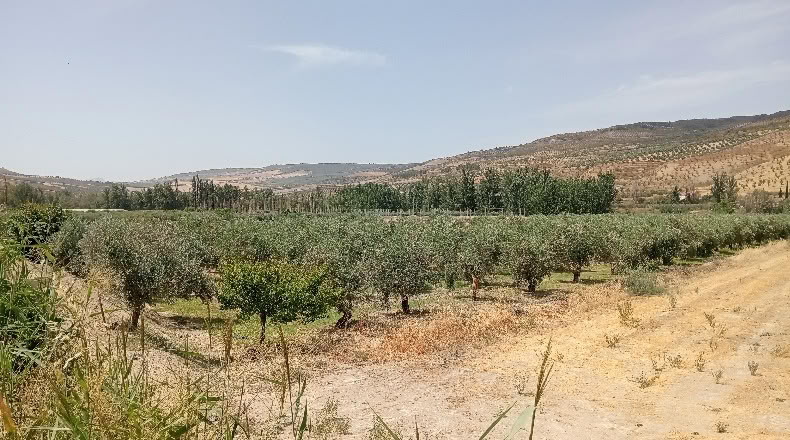 Гранада - Cacín - 10212m2