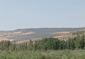 Non-developable land for sale on Calle Barranco, Cacín, ref: TR419636 photo