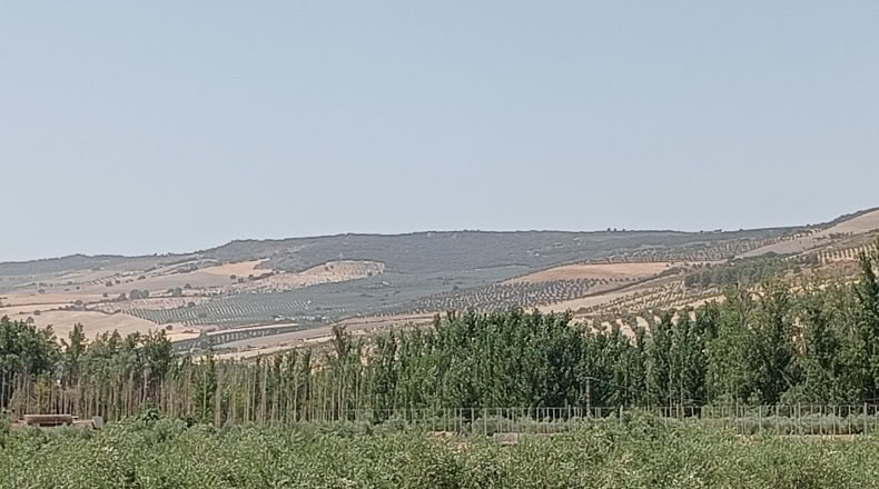 Гранада - Cacín - 10212m2