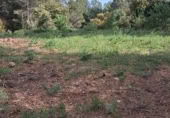 Land suitable for development for sale on Carrer de la Via Làctia, Piera, ref: TR419646 photo