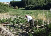 Finca rústica en venta en la Carretera de Benamaurel, Castilléjar, ref: TR419647 foto