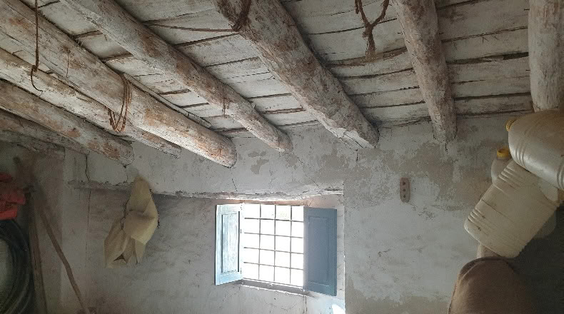 Granada - Castilléjar - 90670m2