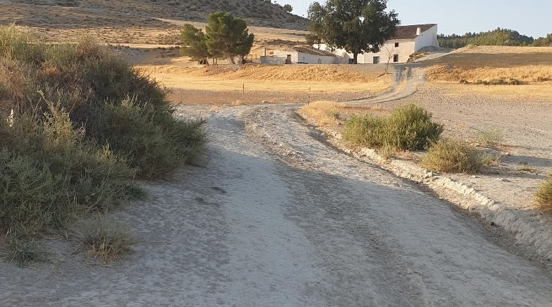 Granada - Castilléjar - 90670m2