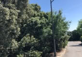 Urban land for sale on Calle Orduña, San Lorenzo de El Escorial, ref: TR419648 photo