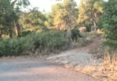Non-developable land for sale on , Albalat dels Tarongers, ref: TR419657 photo