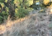 Non-developable land for sale on , Albalat dels Tarongers, ref: TR419657 photo