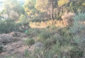 Albalat dels Tarongers 2292&nbsp;m²
