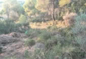 Non-developable land for sale on , Albalat dels Tarongers, ref: TR419657 photo
