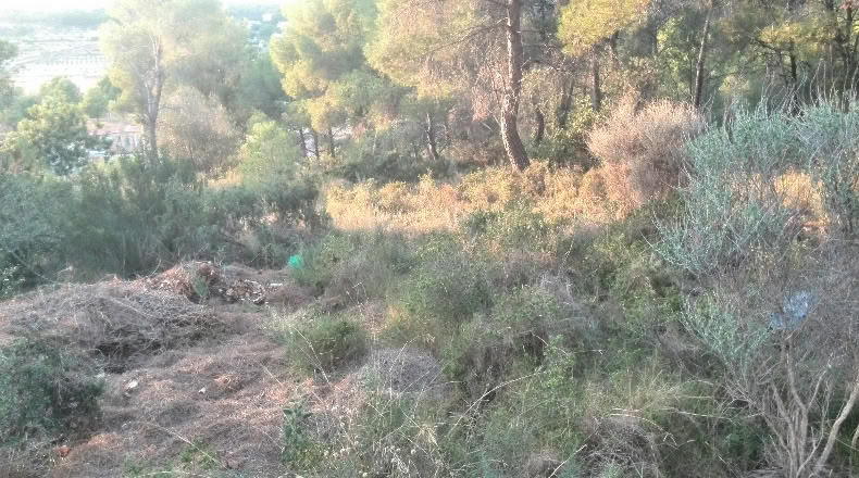 Valencia - Albalat dels Tarongers - 2292m2