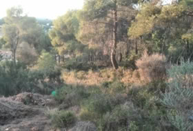 Albalat dels Tarongers 2292&nbsp;m²