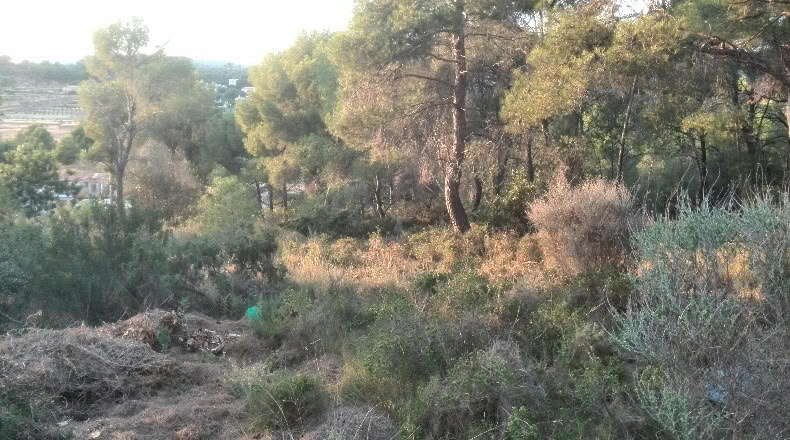 Valencia - Albalat dels Tarongers - 2292m2