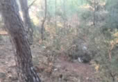 Non-developable land for sale on , Albalat dels Tarongers, ref: TR419657 photo