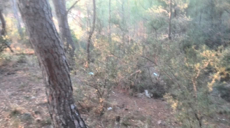 Valencia - Albalat dels Tarongers - 2292m2