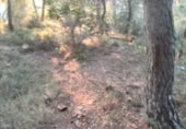 Non-developable land for sale on , Albalat dels Tarongers, ref: TR419657 photo