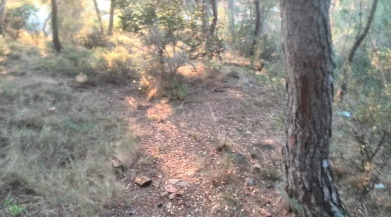 Valencia - Albalat dels Tarongers - 2292m2