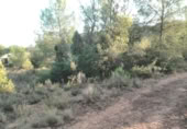 Non-developable land for sale on , Albalat dels Tarongers, ref: TR419656 photo