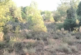 Albalat dels Tarongers 4385&nbsp;m²