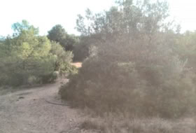 Albalat dels Tarongers 4385&nbsp;m²