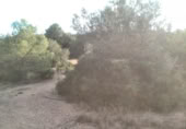 Non-developable land for sale on , Albalat dels Tarongers, ref: TR419656 photo