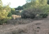 Non-developable land for sale on , Albalat dels Tarongers, ref: TR419656 photo