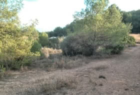 Albalat dels Tarongers 4385&nbsp;m²