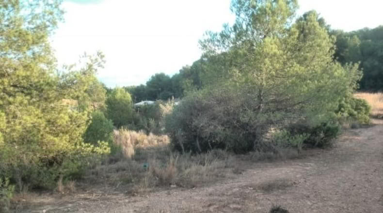 Valencia - Albalat dels Tarongers - 4385m2