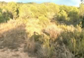 Non-developable land for sale on , Albalat dels Tarongers, ref: TR419656 photo