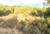 Non-developable land for sale on , Albalat dels Tarongers, ref: TR419656 photo