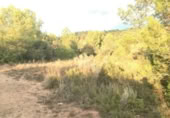 Non-developable land for sale on , Albalat dels Tarongers, ref: TR419656 photo