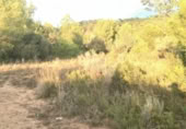 Non-developable land for sale on , Albalat dels Tarongers, ref: TR419656 photo