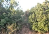 Non-developable land for sale on , Albalat dels Tarongers, ref: TR419656 photo