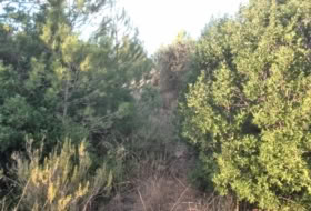 Albalat dels Tarongers 4385&nbsp;m²