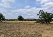 Non-developable land for sale on , Lerín, ref: TR419659 photo