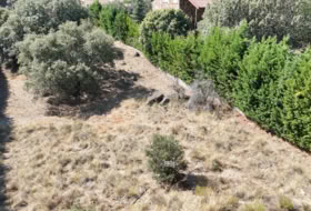 Zarzuela del Monte 1173&nbsp;м²