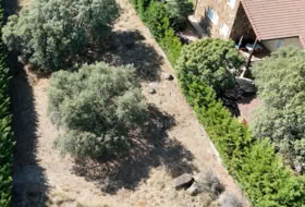 Zarzuela del Monte 1173&nbsp;м²