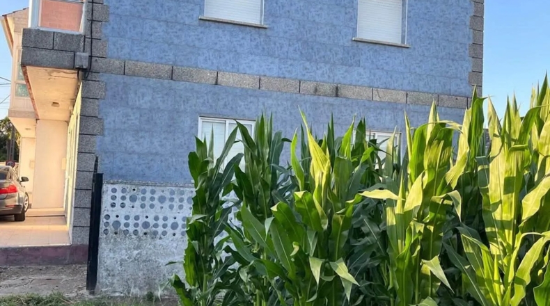 Pontevedra - Cambados - 300m2