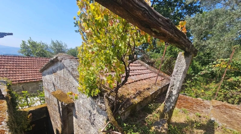 Pontevedra - Santiago de Covelo - 3500m2