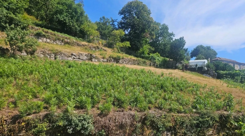 Pontevedra - Santiago de Covelo - 3500m2