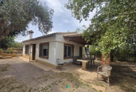 Benifaió 60&nbsp;m²