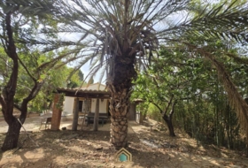 Benifaió 60&nbsp;m²