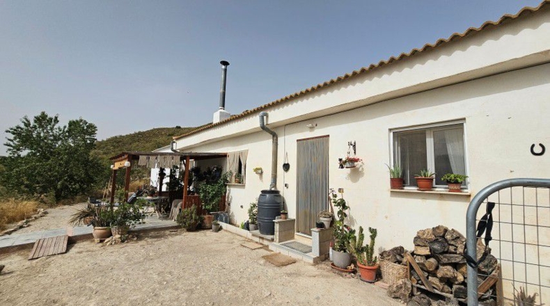 Almeria - Tíjola - 11447 m²
