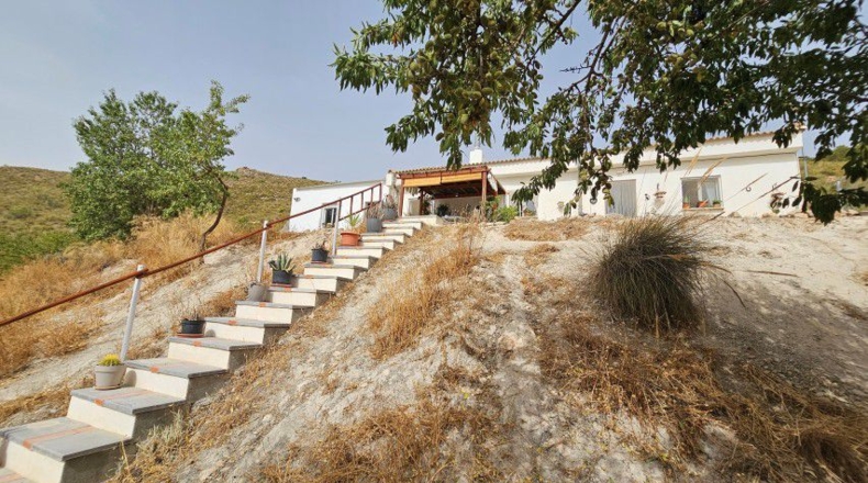 Almeria - Tíjola - 11447 m²