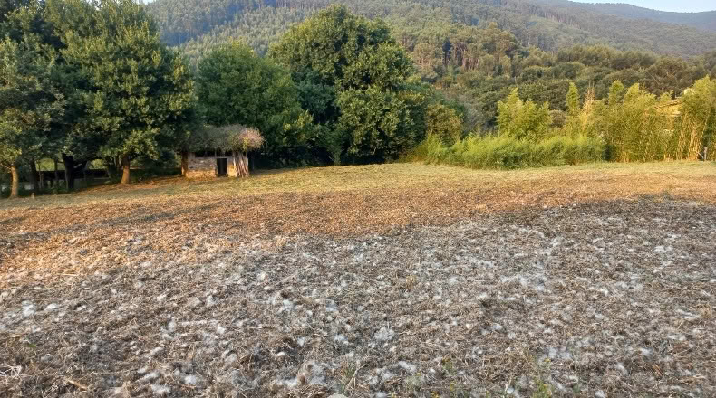 Бискайя - Бакио - 8744 м²