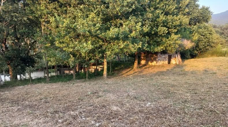Бискайя - Бакио - 8744 м²