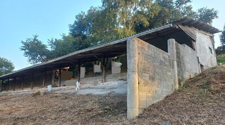 Бискайя - Бакио - 8744 м²