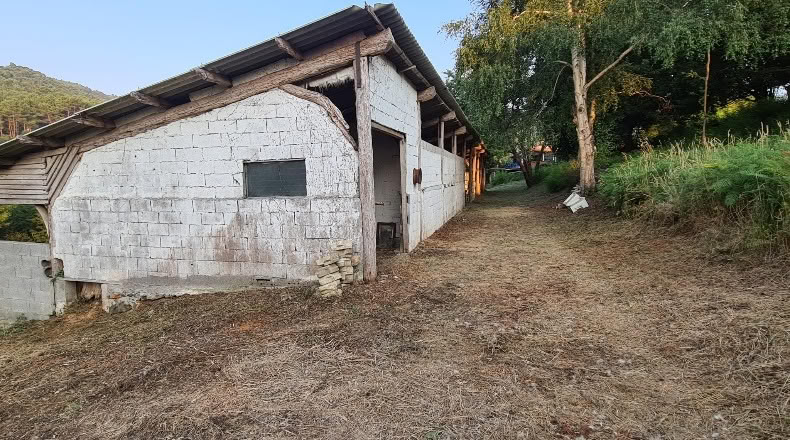 Бискайя - Бакио - 8744 м²
